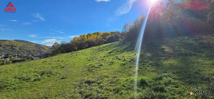 , Działki  na sprzedaż, Kamienica, ul. 
