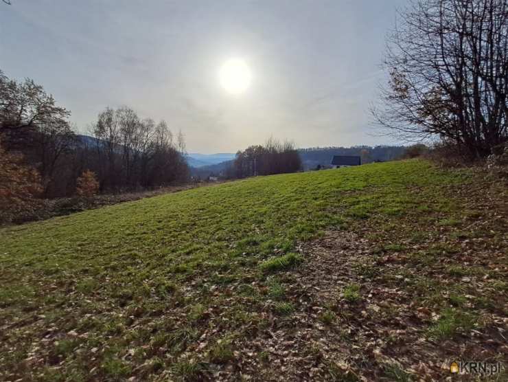 Ewa Szembek Biuro Nieruchomości, Działki  na sprzedaż, Limanowa, ul. 