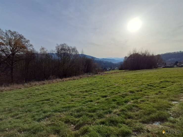 Działki  na sprzedaż, Limanowa, ul. , 