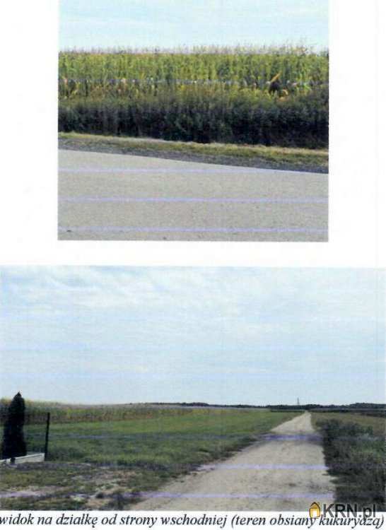 Działki  na sprzedaż, Osiek, ul. , 