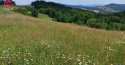 Działki na sprzedaż, Przyszowa