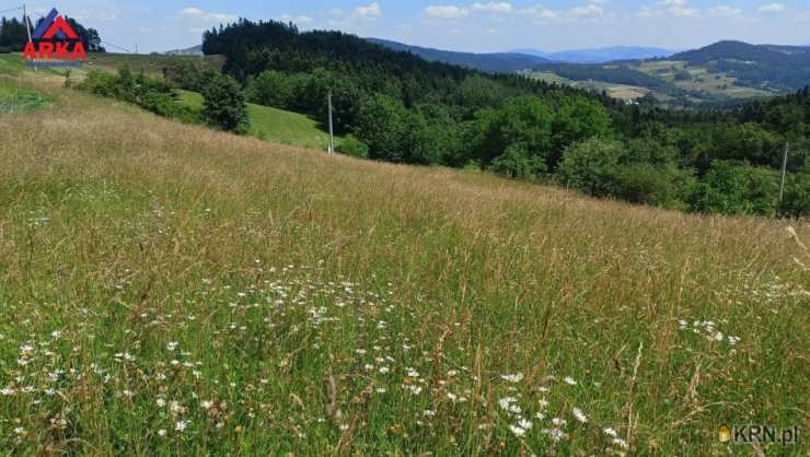 Działki  na sprzedaż, Przyszowa, ul. , 