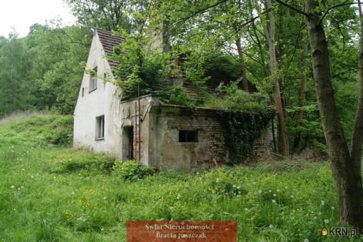 Działki  na sprzedaż, , Romanów, ul. 