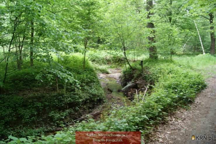 Romanów, ul. , , Działki  na sprzedaż