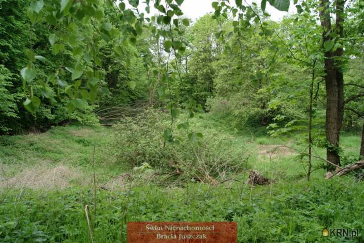 Działki  na sprzedaż, Romanów, ul. , 