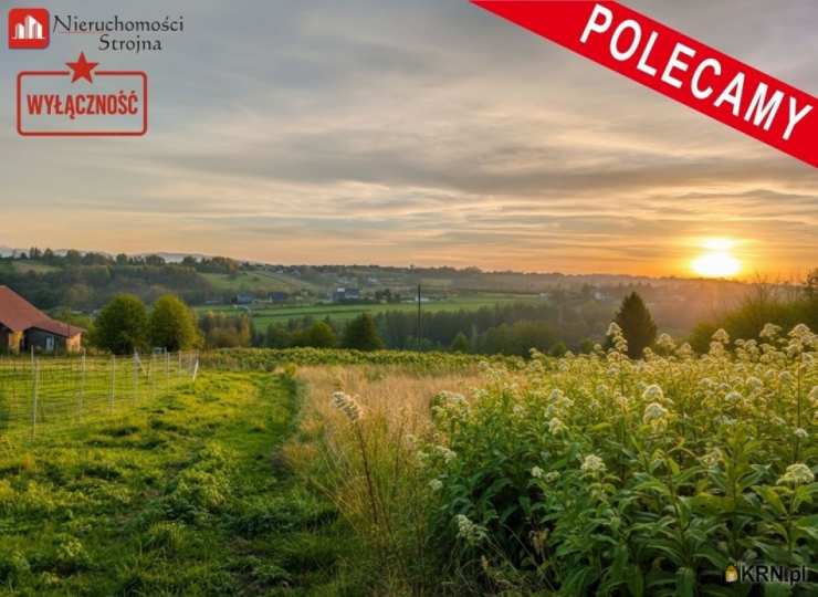 Działki  na sprzedaż, Chorągwica, ul. , 