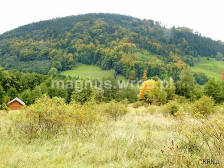 Łomnica, ul. , Działki  na sprzedaż, 