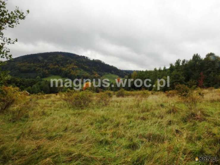 , Działki  na sprzedaż, Łomnica, ul. 