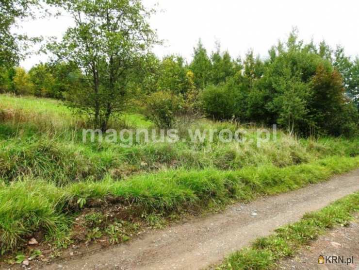 Działki  na sprzedaż, Łomnica, ul. , 