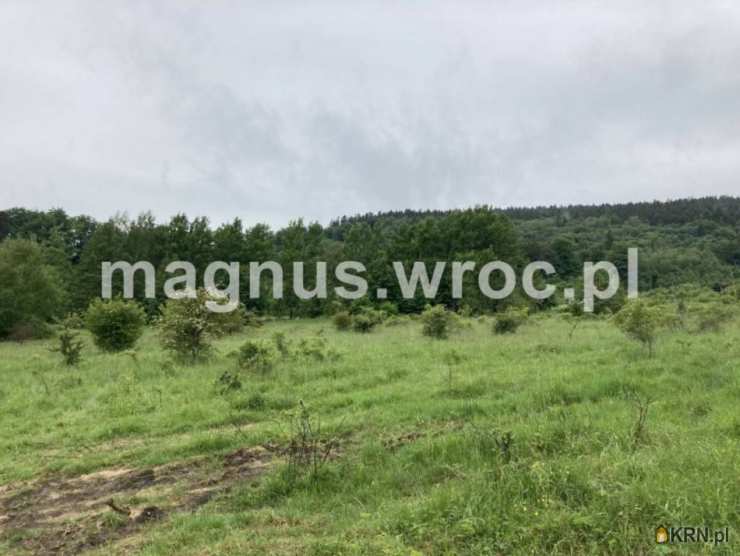 Łomnica, ul. , , Działki  na sprzedaż