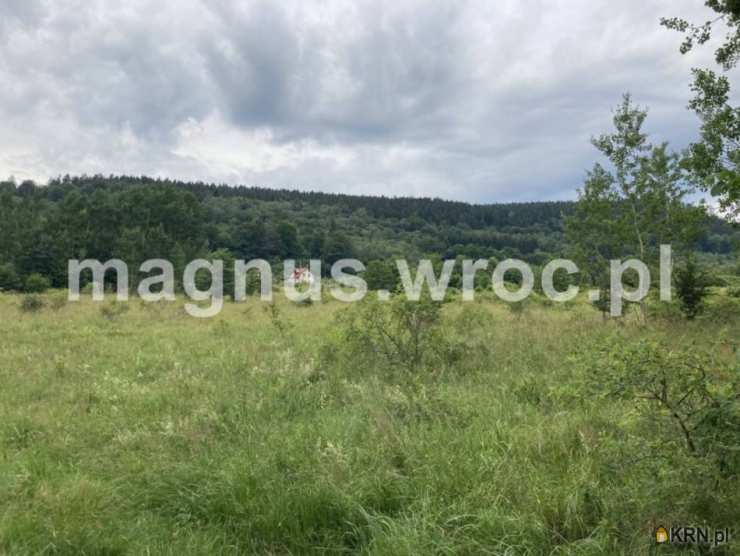 , Działki  na sprzedaż, Łomnica, ul. 