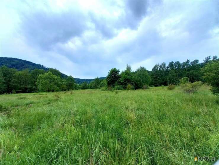 Działki  na sprzedaż, Łomnica, ul. , 