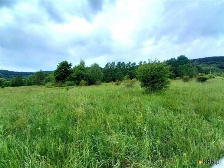 Działki  na sprzedaż, , Łomnica, ul. 