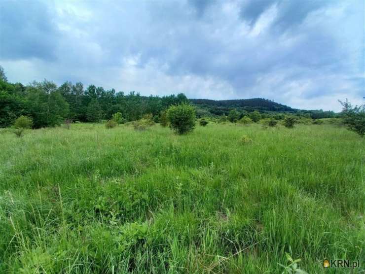 Łomnica, ul. , Działki  na sprzedaż, 