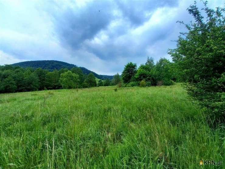 , Działki  na sprzedaż, Łomnica, ul. 