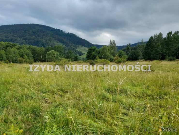 Działki  na sprzedaż, Łomnica, ul. , 