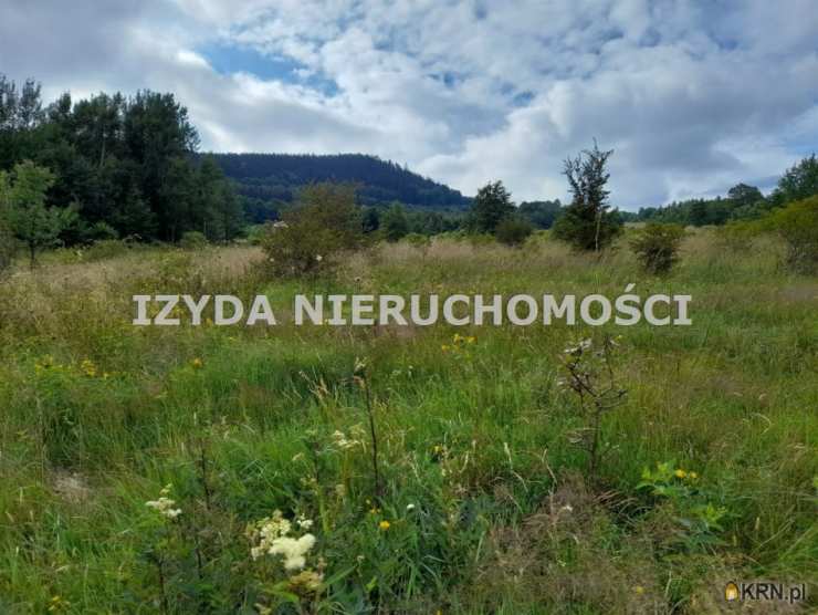 Działki  na sprzedaż, , Łomnica, ul. 