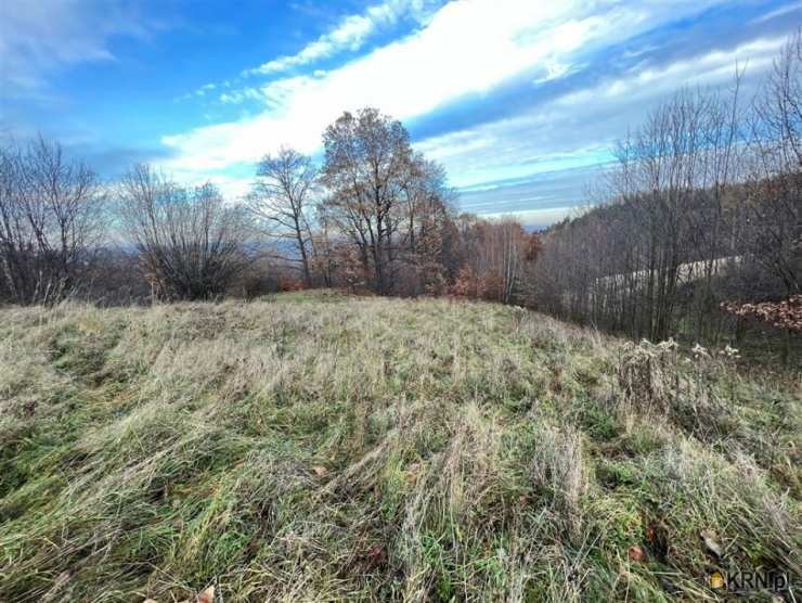 Działki  na sprzedaż, , Zachełmie, ul. 