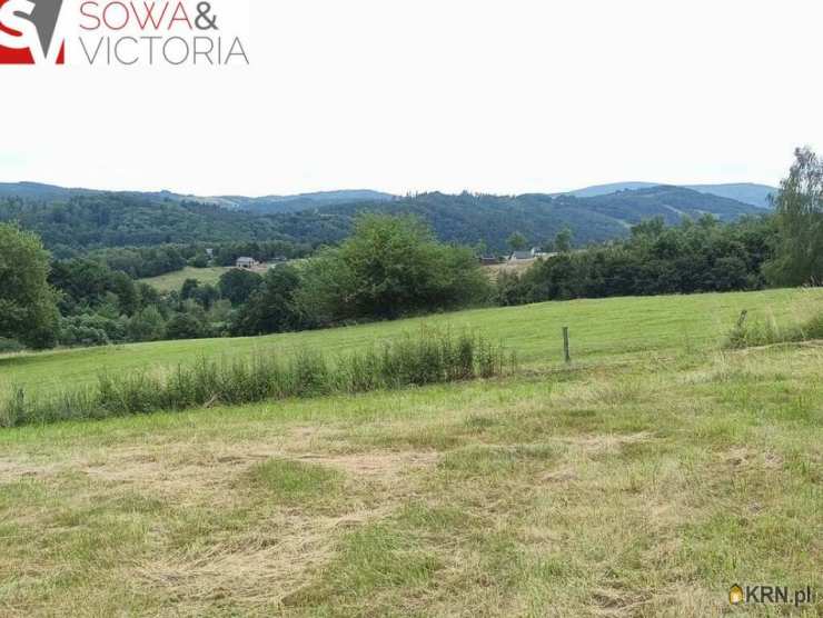 Zagórze Śląskie, ul. , Działki  na sprzedaż, 