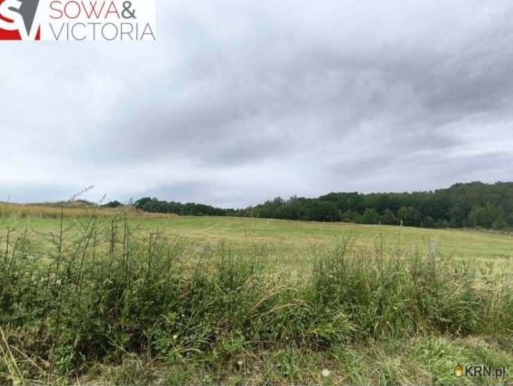 , Zagórze Śląskie, ul. , Działki  na sprzedaż