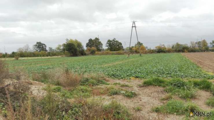 Działki  na sprzedaż, Świebodzice, ul. Ciernie, 