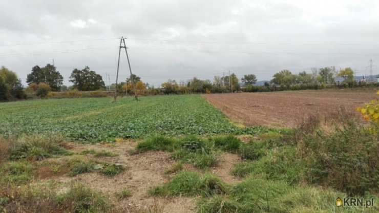Działki  na sprzedaż, , Świebodzice, ul. Ciernie