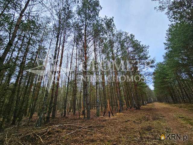 Działki  na sprzedaż, , Trzciany, ul. 