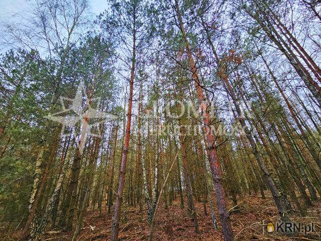 Trzciany, ul. , Działki  na sprzedaż, 