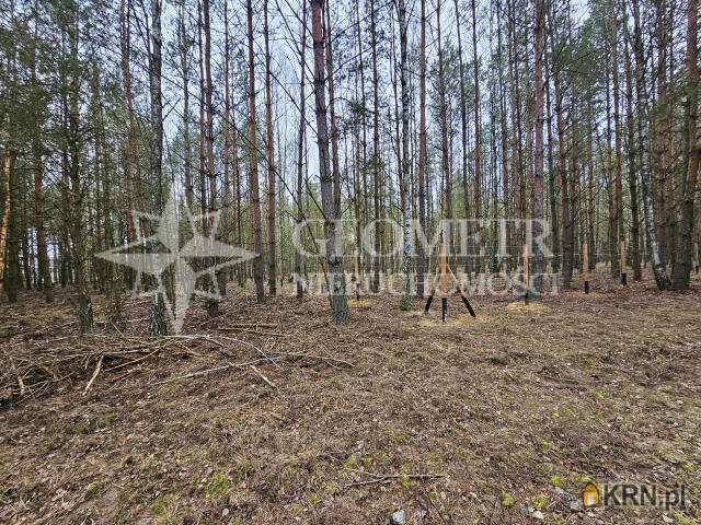 , Trzciany, ul. , Działki  na sprzedaż