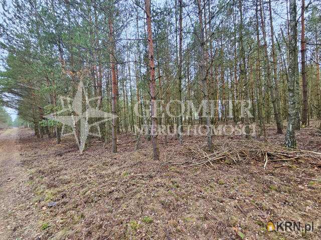 , Działki  na sprzedaż, Trzciany, ul. 