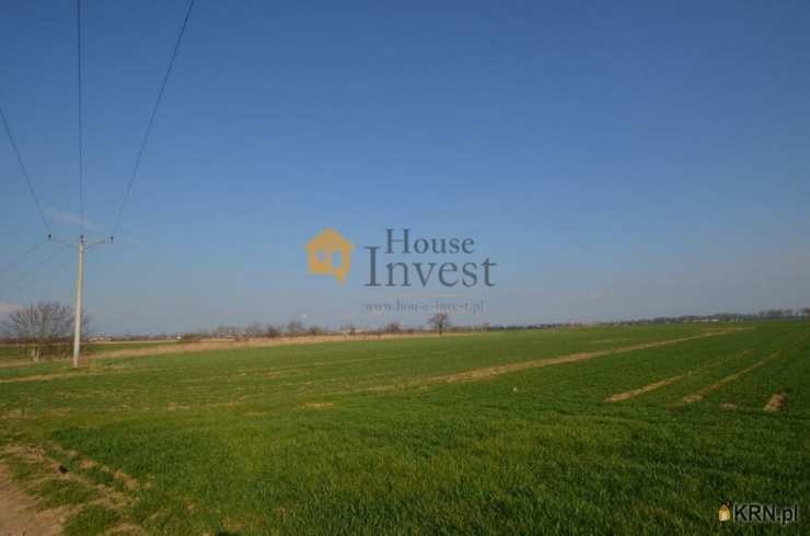 Piotrowice, ul. , Działki  na sprzedaż, 