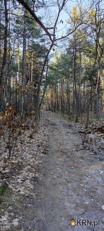 Warszawa, Wawer/Międzylesie, ul. Kociszewskich, Działki  na sprzedaż, 