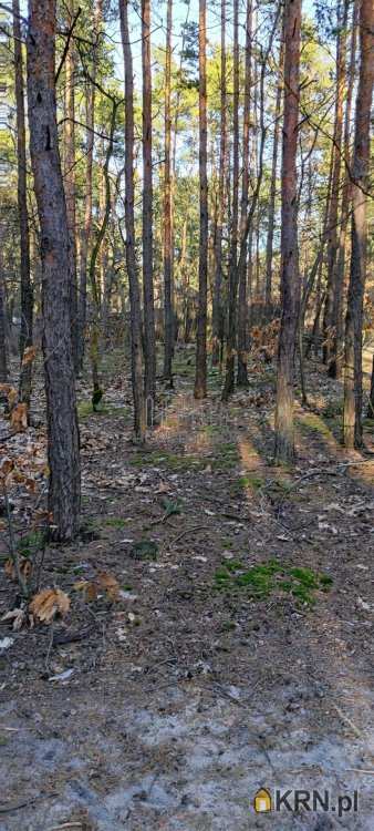 Warszawa, Wawer/Międzylesie, ul. Kociszewskich, , Działki  na sprzedaż