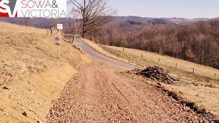Działki  na sprzedaż, , Zagórze Śląskie, ul. 