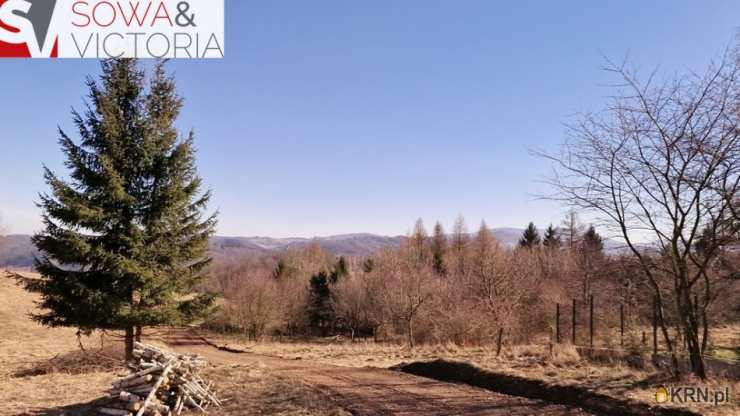 , Działki  na sprzedaż, Zagórze Śląskie, ul. 