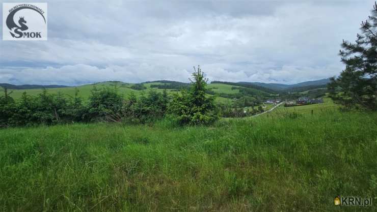 Biuro Nieruchomości SMOK Mateusz Góral, Działki  na sprzedaż, Łapsze Niżne, ul. 