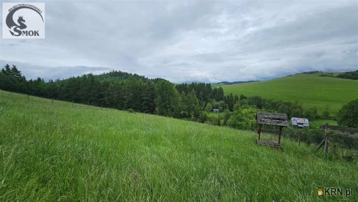 Działki  na sprzedaż, Łapsze Niżne, ul. , 