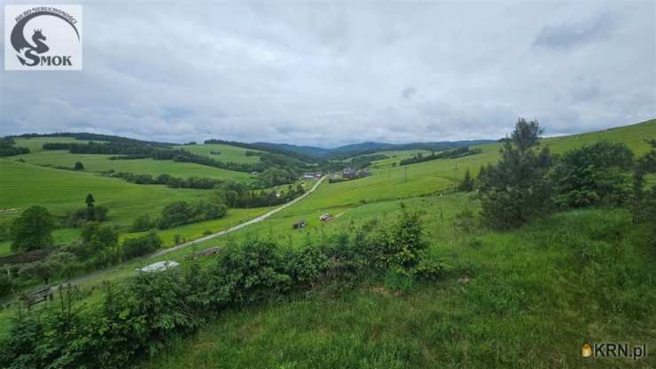 Działki  na sprzedaż, , Łapsze Niżne, ul. 