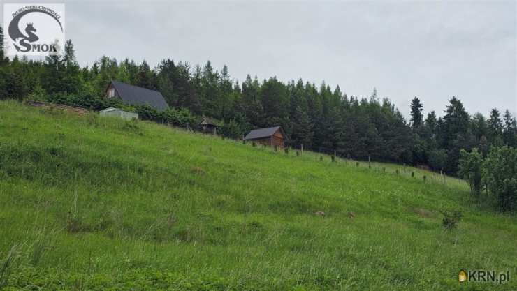 , Działki  na sprzedaż, Łapsze Niżne, ul. 