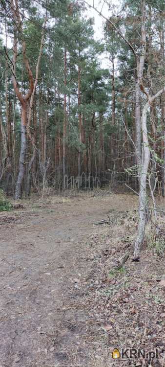Warszawa, Wawer/Miedzeszyn, ul. Mszańska, , Działki  na sprzedaż