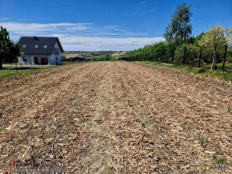 Działki  na sprzedaż, Wilczkowice, ul. , 