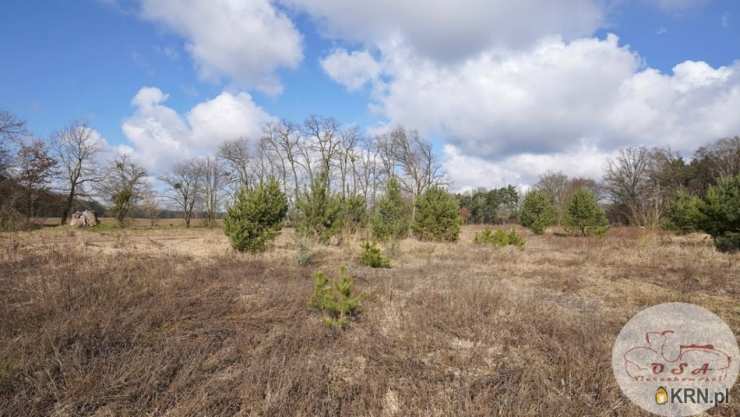 Działki  na sprzedaż, Esterpole, ul. , 