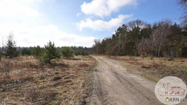 Esterpole, ul. , Działki  na sprzedaż, 