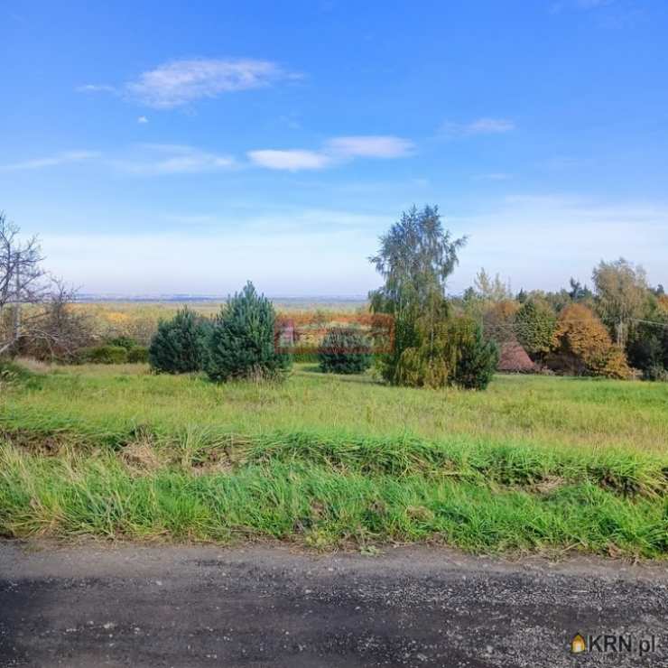 Działki  na sprzedaż, Dąbrowa, ul. , 