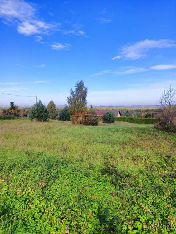 Działki  na sprzedaż, Dąbrowa, ul. , 