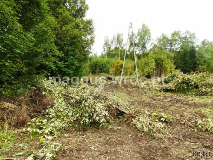 Działki  na sprzedaż, Łomnica, ul. , 