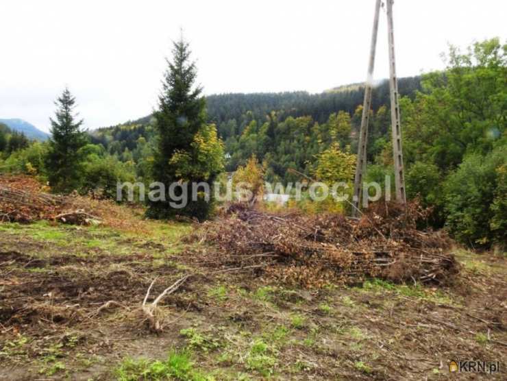 Działki  na sprzedaż, , Łomnica, ul. 