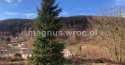 Działki na sprzedaż, Łomnica