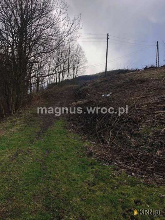 Działki  na sprzedaż, Łomnica, ul. , 