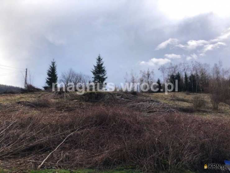 Działki  na sprzedaż, , Łomnica, ul. 